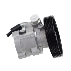 Power Steering Pump for Peugeot 407 306 PARTNER Combispace Box 9624659580 - Ujoin Auto Parts
