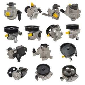 Power Steering Pumps